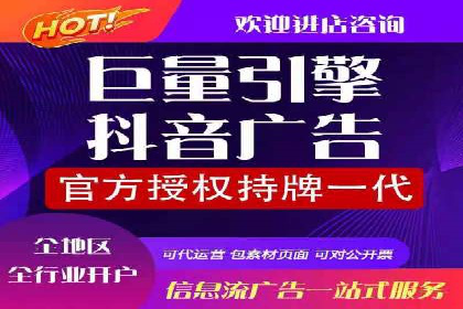 SEM推广在本地化服务中的应用案例